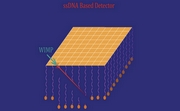 20120703_dna-detektor_mctp-k.jpg